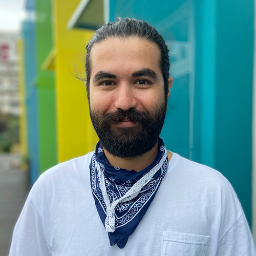 Deniz avuolu