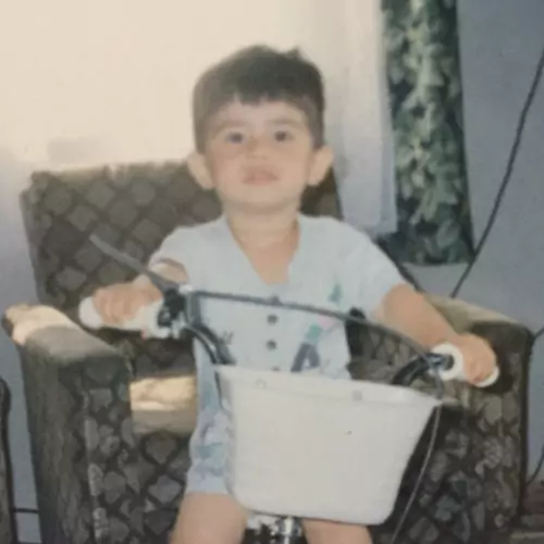 Deniz avuolu